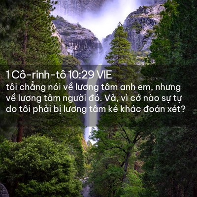 Picture 02 - 1 Cô-rinh-tô 10:29 VIE - tôi chẳng nói về lương tâm anh em, - Bible Verse Picture