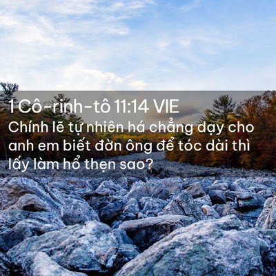 Picture 02 - 1 Cô-rinh-tô 11:14 VIE - Chính lẽ tự nhiên há chẳng dạy cho anh - Bible Verse Picture