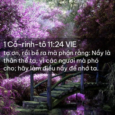 Picture 02 - 1 Cô-rinh-tô 11:24 VIE - tạ ơn, rồi bẻ ra mà phán rằng: Nầy - Bible Verse Picture