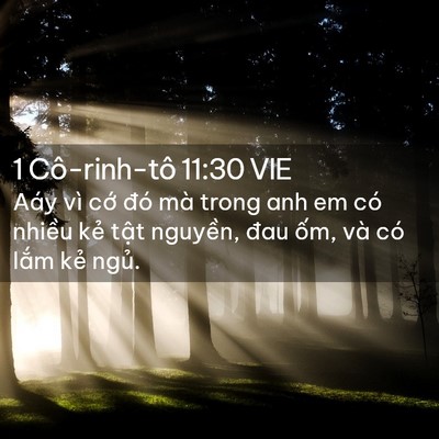 Picture 02 - 1 Cô-rinh-tô 11:30 VIE - Aáy vì cớ đó mà trong anh em có nhiều - Bible Verse Picture