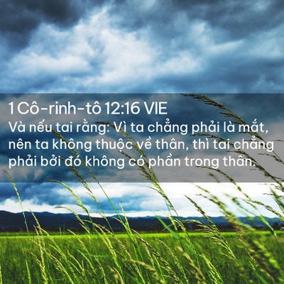 Picture 02 - 1 Cô-rinh-tô 12:16 VIE - Và nếu tai rằng: Vì ta chẳng phải là - Bible Verse Picture