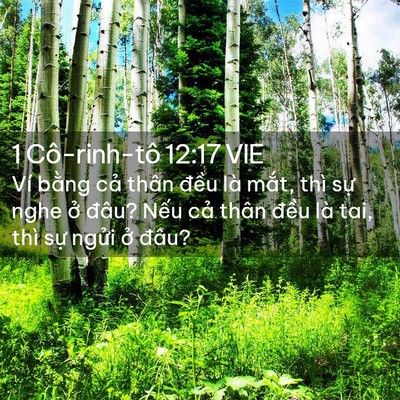 Picture 02 - 1 Cô-rinh-tô 12:17 VIE - Ví bằng cả thân đều là mắt, thì sự - Bible Verse Picture