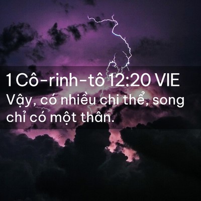 Picture 02 - 1 Cô-rinh-tô 12:20 VIE - Vậy, có nhiều chi thể, song chỉ có - Bible Verse Picture