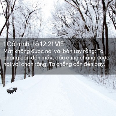 Picture 02 - 1 Cô-rinh-tô 12:21 VIE - Mắt không được nói với bàn tay rằng: - Bible Verse Picture