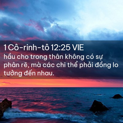 Picture 02 - 1 Cô-rinh-tô 12:25 VIE - hầu cho trong thân không có sự phân rẽ, - Bible Verse Picture