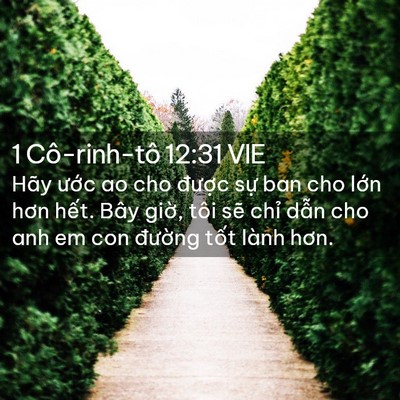 Picture 02 - 1 Cô-rinh-tô 12:31 VIE - Hãy ước ao cho được sự ban cho lớn - Bible Verse Picture