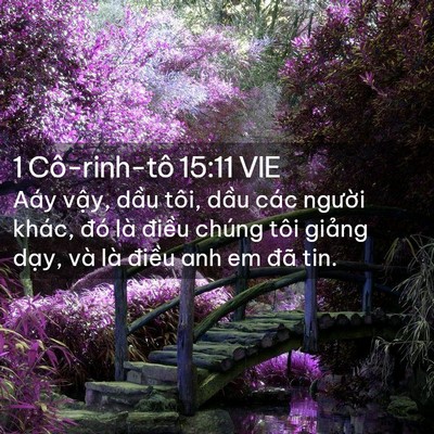 Picture 02 - 1 Cô-rinh-tô 15:11 VIE - Aáy vậy, dầu tôi, dầu các người - Bible Verse Picture