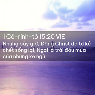 Picture 02 - 1 Cô-rinh-tô 15:20 VIE - Nhưng bây giờ, Đấng Christ đã từ kẻ - Bible Verse Picture