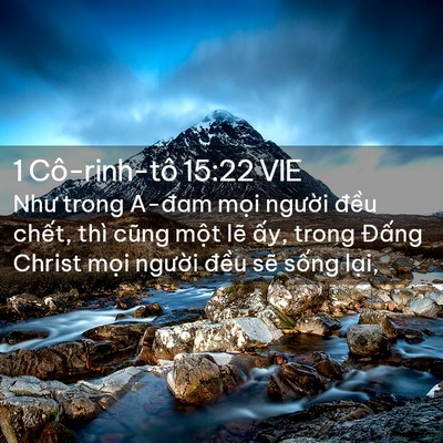 Picture 02 - 1 Cô-rinh-tô 15:22 VIE - Như trong A-đam mọi người đều chết, - Bible Verse Picture