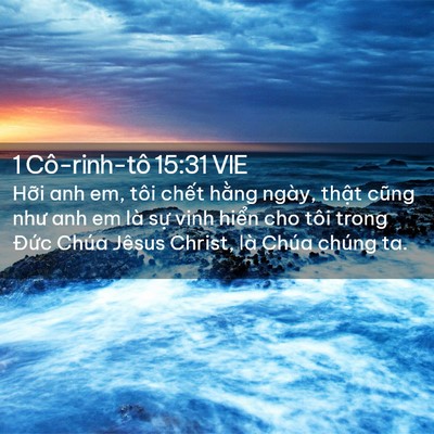Picture 02 - 1 Cô-rinh-tô 15:31 VIE - Hỡi anh em, tôi chết hằng ngày, thật - Bible Verse Picture
