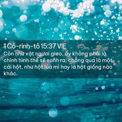 Picture 02 - 1 Cô-rinh-tô 15:37 VIE - Còn như vật ngươi gieo, ấy không phải - Bible Verse Picture