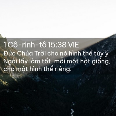 Picture 02 - 1 Cô-rinh-tô 15:38 VIE - Đức Chúa Trời cho nó hình thể tùy ý - Bible Verse Picture
