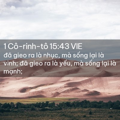 Picture 02 - 1 Cô-rinh-tô 15:43 VIE - đã gieo ra là nhục, mà sống lại là - Bible Verse Picture
