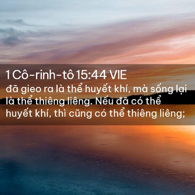 Picture 02 - 1 Cô-rinh-tô 15:44 VIE - đã gieo ra là thể huyết khí, mà sống - Bible Verse Picture