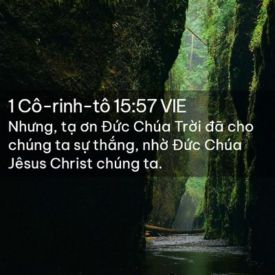 Picture 02 - 1 Cô-rinh-tô 15:57 VIE - Nhưng, tạ ơn Đức Chúa Trời đã cho - Bible Verse Picture