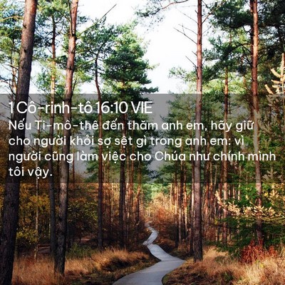 Picture 02 - 1 Cô-rinh-tô 16:10 VIE - Nếu Ti-mô-thê đến thăm anh em, hãy giữ - Bible Verse Picture