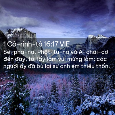 Picture 02 - 1 Cô-rinh-tô 16:17 VIE - Sê-pha-na, Phốt-tu-na và A-chai-cơ đến - Bible Verse Picture