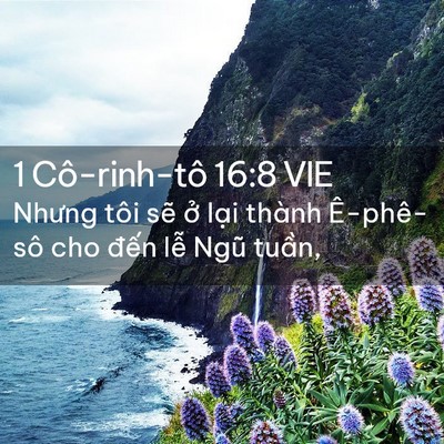 Picture 02 - 1 Cô-rinh-tô 16:8 VIE - Nhưng tôi sẽ ở lại thành Ê-phê-sô cho - Bible Verse Picture