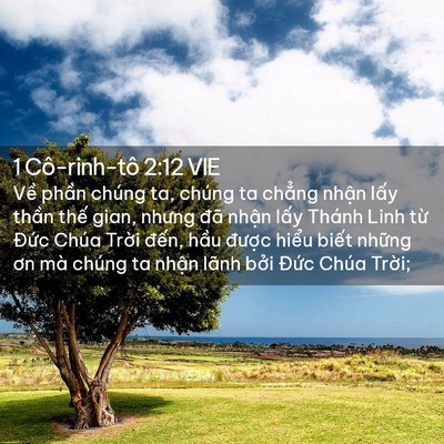 Picture 02 - 1 Cô-rinh-tô 2:12 VIE - Về phần chúng ta, chúng ta chẳng nhận - Bible Verse Picture