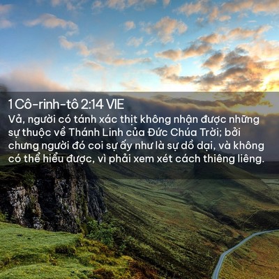Picture 02 - 1 Cô-rinh-tô 2:14 VIE - Vả, người có tánh xác thịt không - Bible Verse Picture