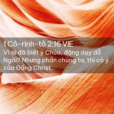 Picture 02 - 1 Cô-rinh-tô 2:16 VIE - Vì ai đã biết ý Chúa, đặng dạy dỗ - Bible Verse Picture