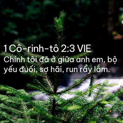 Picture 02 - 1 Cô-rinh-tô 2:3 VIE - Chính tôi đã ở giữa anh em, bộ yếu - Bible Verse Picture