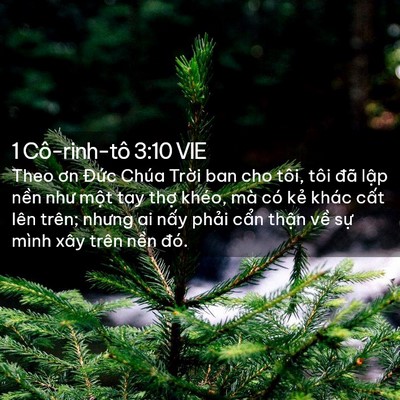 Picture 02 - 1 Cô-rinh-tô 3:10 VIE - Theo ơn Đức Chúa Trời ban cho tôi, tôi - Bible Verse Picture