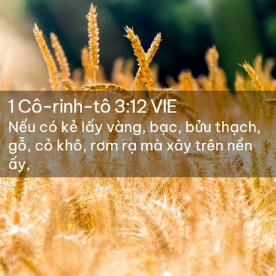 Picture 02 - 1 Cô-rinh-tô 3:12 VIE - Nếu có kẻ lấy vàng, bạc, bửu thạch, - Bible Verse Picture