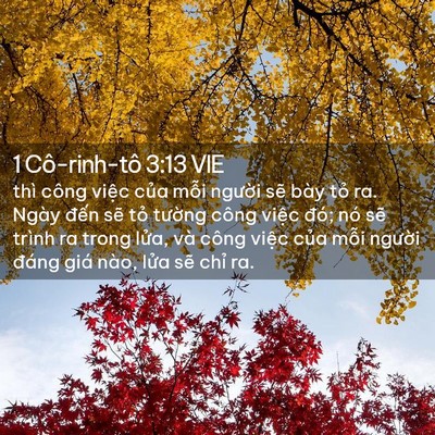 Picture 02 - 1 Cô-rinh-tô 3:13 VIE - thì công việc của mỗi người sẽ bày - Bible Verse Picture