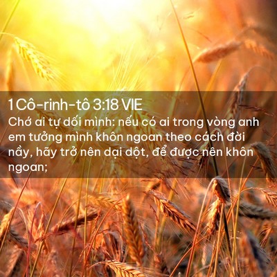 Picture 02 - 1 Cô-rinh-tô 3:18 VIE - Chớ ai tự dối mình: nếu có ai trong - Bible Verse Picture