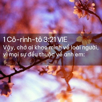 Picture 02 - 1 Cô-rinh-tô 3:21 VIE - Vậy, chớ ai khoe mình về loài người, - Bible Verse Picture