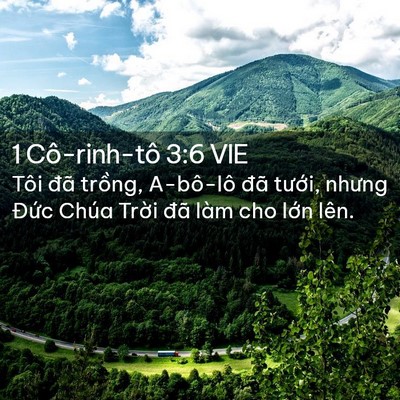 Picture 02 - 1 Cô-rinh-tô 3:6 VIE - Tôi đã trồng, A-bô-lô đã tưới, nhưng - Bible Verse Picture