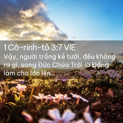Picture 02 - 1 Cô-rinh-tô 3:7 VIE - Vậy, người trồng kẻ tưới, đều - Bible Verse Picture