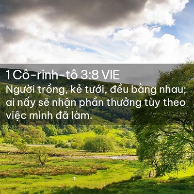 Picture 02 - 1 Cô-rinh-tô 3:8 VIE - Người trồng, kẻ tưới, đều bằng - Bible Verse Picture