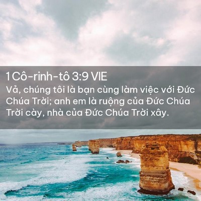 Picture 02 - 1 Cô-rinh-tô 3:9 VIE - Vả, chúng tôi là bạn cùng làm việc - Bible Verse Picture