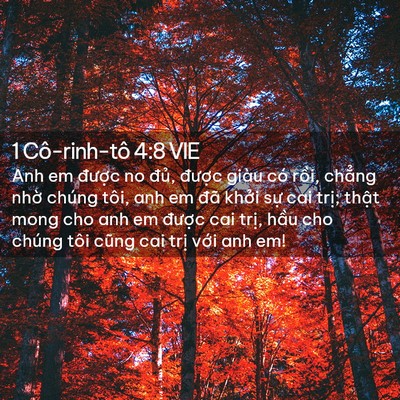 Picture 02 - 1 Cô-rinh-tô 4:8 VIE - Anh em được no đủ, được giàu có - Bible Verse Picture