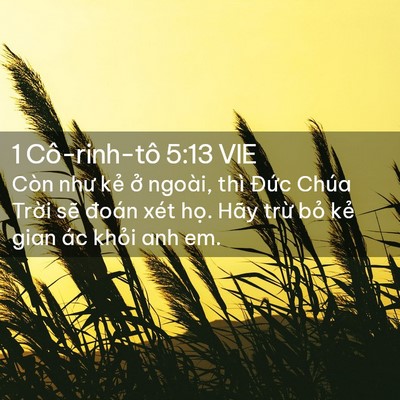Picture 02 - 1 Cô-rinh-tô 5:13 VIE - Còn như kẻ ở ngoài, thì Đức Chúa - Bible Verse Picture