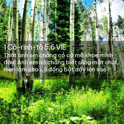 Picture 02 - 1 Cô-rinh-tô 5:6 VIE - Thật anh em chẳng có cớ mà khoe mình - Bible Verse Picture