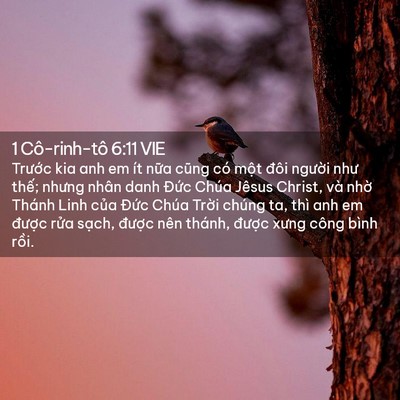 Picture 02 - 1 Cô-rinh-tô 6:11 VIE - Trước kia anh em ít nữa cũng có một - Bible Verse Picture