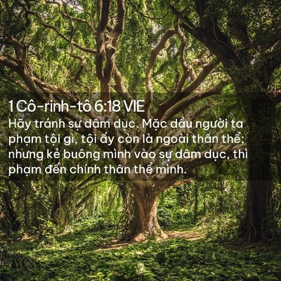 Picture 02 - 1 Cô-rinh-tô 6:18 VIE - Hãy tránh sự dâm dục. Mặc dầu người - Bible Verse Picture
