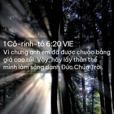 Picture 02 - 1 Cô-rinh-tô 6:20 VIE - Vì chưng anh em đã được chuộc bằng - Bible Verse Picture