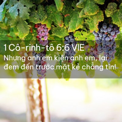 Picture 02 - 1 Cô-rinh-tô 6:6 VIE - Nhưng anh em kiện anh em, lại đem đến - Bible Verse Picture