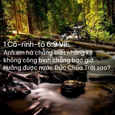 Picture 02 - 1 Cô-rinh-tô 6:9 VIE - Anh em há chẳng biết những kẻ không - Bible Verse Picture