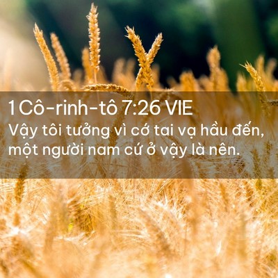 Picture 02 - 1 Cô-rinh-tô 7:26 VIE - Vậy tôi tưởng vì cớ tai vạ hầu - Bible Verse Picture