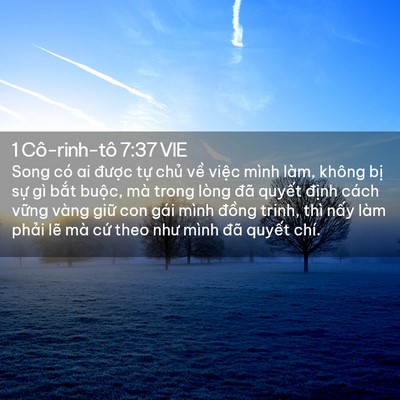 Picture 02 - 1 Cô-rinh-tô 7:37 VIE - Song có ai được tự chủ về việc mình - Bible Verse Picture