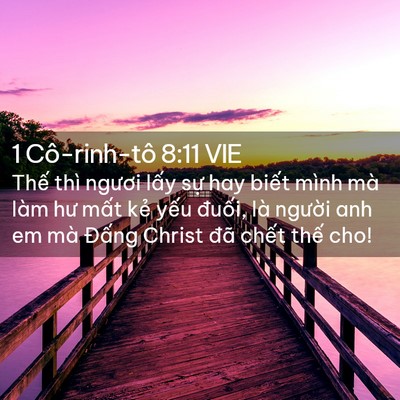 Picture 02 - 1 Cô-rinh-tô 8:11 VIE - Thế thì ngươi lấy sự hay biết mình - Bible Verse Picture