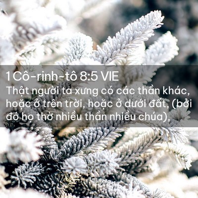 Picture 02 - 1 Cô-rinh-tô 8:5 VIE - Thật người ta xưng có các thần khác, - Bible Verse Picture