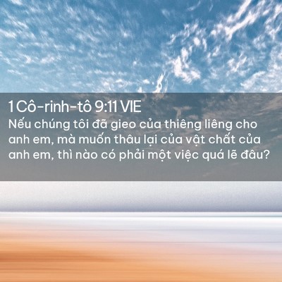 Picture 02 - 1 Cô-rinh-tô 9:11 VIE - Nếu chúng tôi đã gieo của thiêng liêng - Bible Verse Picture