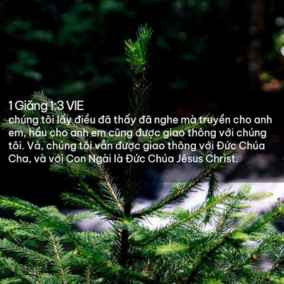 Picture 02 - 1 Giăng 1:3 VIE - chúng tôi lấy điều đã thấy đã nghe - Bible Verse Picture