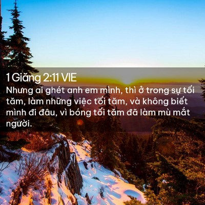Picture 02 - 1 Giăng 2:11 VIE - Nhưng ai ghét anh em mình, thì ở trong sự - Bible Verse Picture